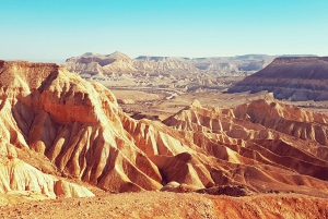 Z Tel Awiwu: wizyta nad Morzem Martwym i pustynne safari