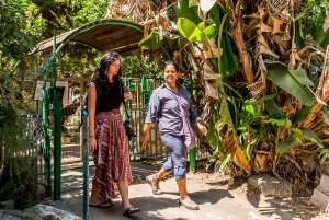 From Tel Aviv: Kibbutz, Caesarea and Fisherman Village Tour