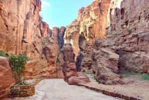 Depuis Tel Aviv : journée à Petra avec vols aller-retour