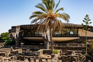 Da Tel Aviv: tour di un giorno in Galilea