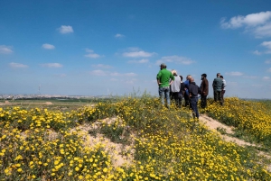 From Tel Aviv: Gaza Border Reality Tour