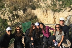Z Tel Awiwu: Wycieczka ATV na Wzgórza Golan i degustacja wina