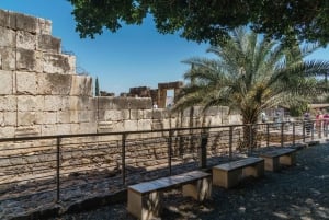 Tel Aviv : Nazareth et Mer de Galilée avec guide