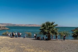 Desde viaje guiado de 1 día a Nazaret y mar de Galilea