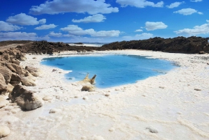 Au départ de Tel-Aviv : Circuit des points forts de Jérusalem et de la mer Morte