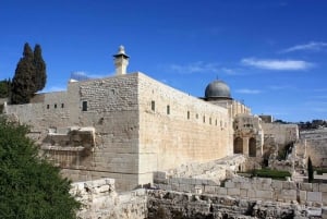 Från Tel Aviv: Biblisk heldagstur till Jerusalem