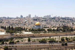 Da Tel Aviv: tour biblico di Gerusalemme di un giorno intero