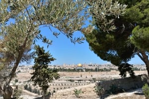 Depuis Tel Aviv : journée à Jérusalem, mer Morte et Bethléem