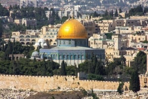 Desde Tel Aviv: tour guiado Jerusalén y Mar Muerto