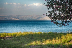From Tel Aviv: Jordan River, Nazareth, & Sea of Galilee Tour