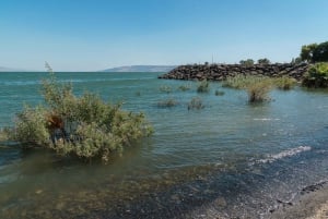 From Tel Aviv: Magdala, Mount of Beatitudes, and Cana Tour