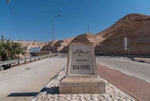 Masada e il Mar Morto: tour da Tel Aviv con prelievo
