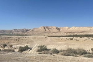 From Tel Aviv: Masada &Dead Sea Tour INCLUDING ENTRANCE FEES