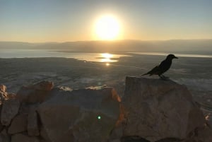 Desde Tel Aviv: tour guiado Masada, Ein Gedi y mar Muerto
