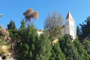 From Tel Aviv: Nazareth, Galilee & the Sea of Galilee Tour