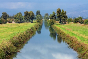 From Tel Aviv: North Israel Biblical Tour with Transfer