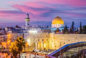 Fra Tel Aviv: Halvdagstur til det gamle Jerusalem
