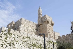 De Tel Aviv: excursão de meio dia à antiga Jerusalém