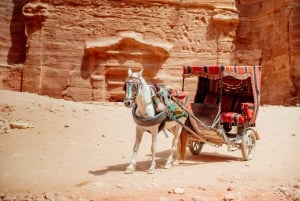 From Tel Aviv: Petra 1-Day Guided Tour with Transfers