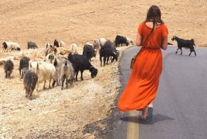 From Tel Aviv: West Bank Day Tour