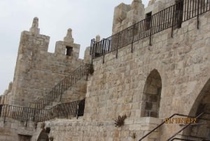 Procissão do Domingo de Ramos de dia inteiro saindo de Jerusalém ou Tel Aviv