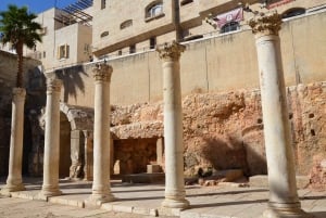 Visite privée d'une demi-journée des sites incontournables de Jérusalem au départ de Tel Aviv