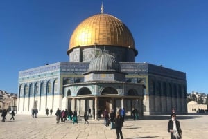 Jerusalén y Mar Muerto o Belén, Día Completo con Guía Privada