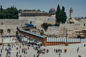 Fra Tel Aviv: Halvdagstur til Jerusalem