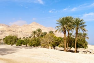 Jerusalem/Tel Aviv: Massada - Dead Sea - Ein Gedi