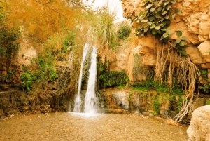 エルサレム/テルアビブ：マサダ - 死海 - アイン・ゲディ