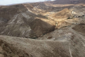 Masada y Mar Muerto Excursión de un día en grupo reducido fr. Puerto de Ashdod