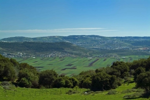 Nazareth, Sea of Galilee, and Capernaum Small Group Tour