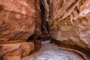 Von Tel Aviv: Geführter Tagesausflug nach Petra mit Mittagessen