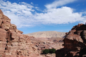 From Tel Aviv: Petra and Wadi Rum 3-Day Tour