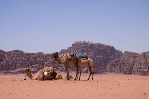 Petra and Wadi Rum: 3-Day Guided Tour from Tel Aviv