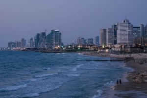 Tel Aviv and Old Jaffa Private Tour
