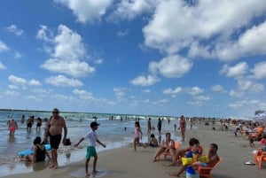 Tel Aviv: Højdepunkter Strand Rothschild & Dizengoff
