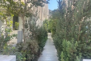 Tel Aviv: Højdepunkter Strand Rothschild & Dizengoff
