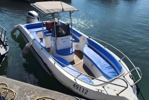 Tel Aviv: Jaffa, Tel Aviv og Bat Yam Sightseeing Cruise