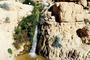 Tel Aviv/Jerusalén: tour privado a Masada, Ein Gedi y el mar Muerto