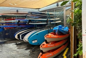 Tel Aviv: Kajakudlejning på Beach Club