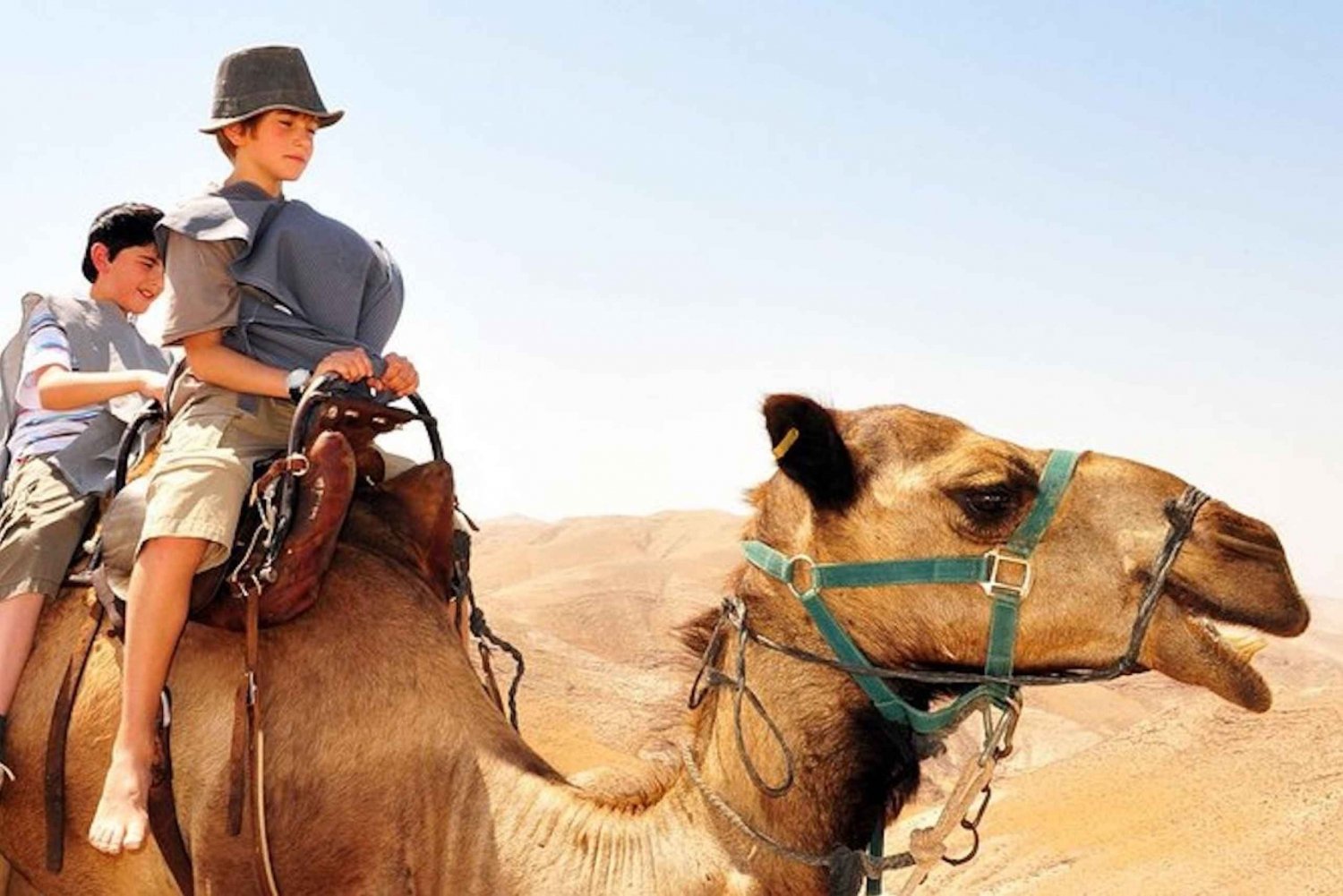 Tel Aviv : Masada, Mer Morte, promenade à dos de chameau et festin bédouin