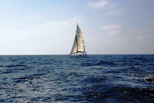 Tel Aviv: Private Yachttour mit Wein und Guide