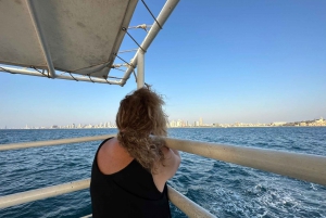 Tel Aviv : Croisière touristique de Tel Aviv et de Jaffa