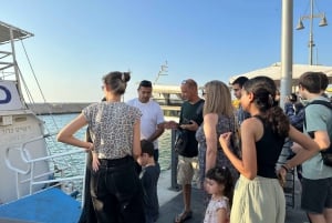 Tel Aviv: Sightseeing-Kreuzfahrt durch Tel Aviv und die Skyline von Jaffa