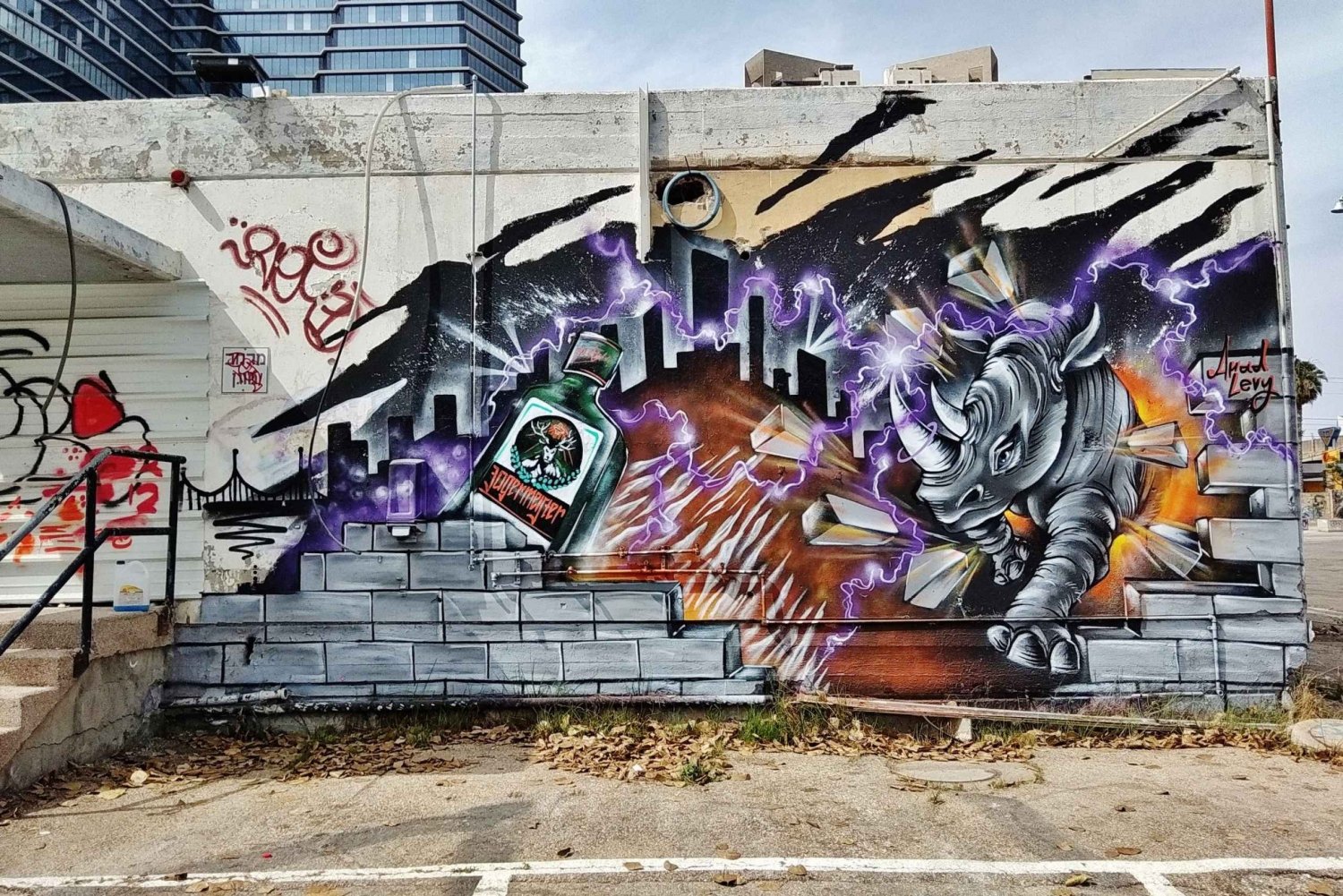 Tel Aviv: Walking Art Tour with Original Graffiti and AR