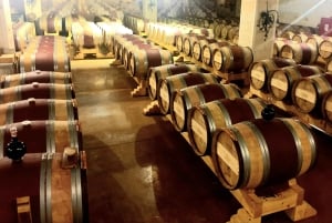 Privétour langs wijnhuizen in Centraal-Israël