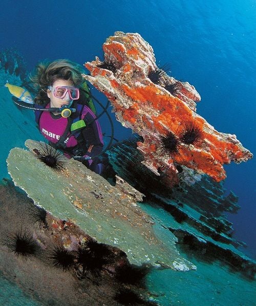Diving in Tenerife (Credit Webtenerife)