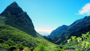 4. Almost half the island is protected by special measures