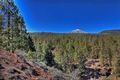 Tenerife Mount Teide